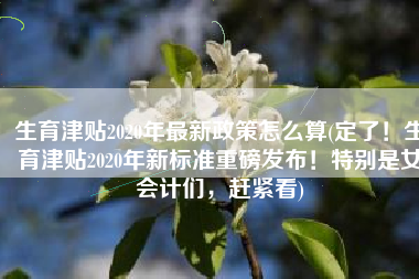 生育津贴2020年最新政策怎么算(定了！生育津贴2020年新标准重磅发布！特别是女会计们，赶紧看)