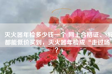 灭火器年检多少钱一个(网上合格证、S标都能低价买到，灭火器年检成“走过场”？)