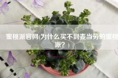 蜜桃派官网(为什么买不到麦当劳的蜜桃派？)