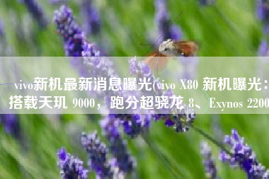 vivo新机最新消息曝光(vivo X80 新机曝光：搭载天玑 9000，跑分超骁龙 8、Exynos 2200)