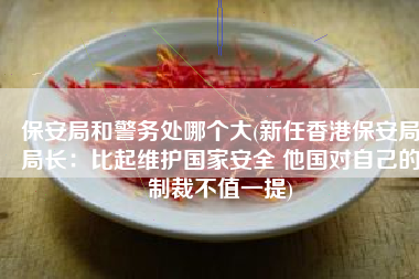 保安局和警务处哪个大(新任香港保安局局长：比起维护国家安全 他国对自己的制裁不值一提)