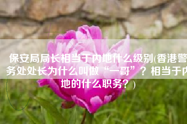 保安局局长相当于内地什么级别(香港警务处处长为什么叫做“一哥”？相当于内地的什么职务？)