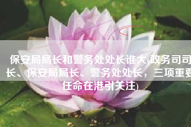 保安局局长和警务处处长谁大(政务司司长、保安局局长、警务处处长，三项重要任命在港引关注)