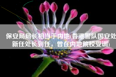 保安局局长相当于内地(香港警队国安处新任处长到任，曾在内地院校受训)