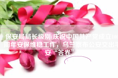 保安局局长级别(庆祝中国共产党成立100周年安保维稳工作，乌兰察布公安交出平安“答卷”)