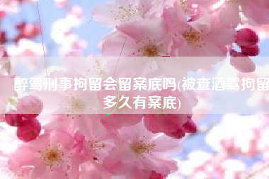 醉驾刑事拘留会留案底吗(被查酒驾拘留多久有案底)