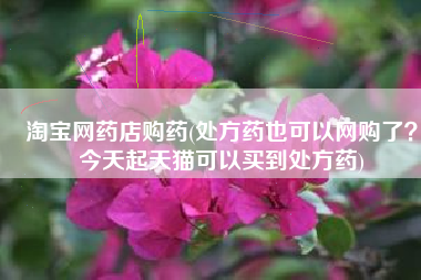 淘宝网药店购药(处方药也可以网购了？今天起天猫可以买到处方药)