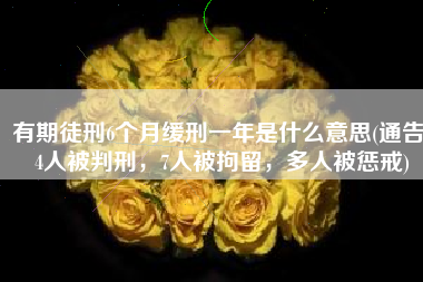 有期徒刑6个月缓刑一年是什么意思(通告！4人被判刑，7人被拘留，多人被惩戒)