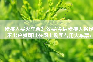 残疾人买火车票怎么买(今后残疾人将足不出户就可以在网上购买专用火车票)
