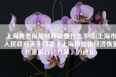 上海养老保险转移需要什么手续(上海市人民政府关于印发《上海市加快经济恢复和重振行动方案》的通知)