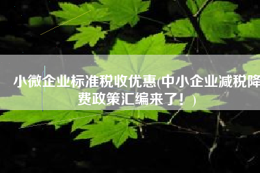 小微企业标准税收优惠(中小企业减税降费政策汇编来了！)