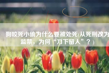狗咬死小偷为什么要被处死(从死刑改为监禁，为何“刀下留人”？)