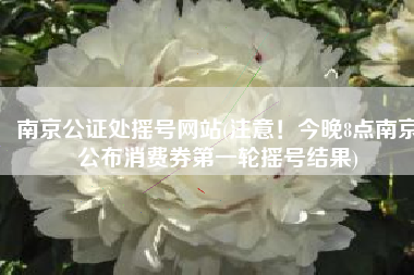 南京公证处摇号网站(注意！今晚8点南京公布消费券第一轮摇号结果)