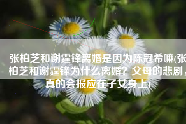 张柏芝和谢霆锋离婚是因为陈冠希嘛(张柏芝和谢霆锋为什么离婚？父母的悲剧，真的会报应在子女身上)