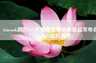 timcook简介(一文看懂苹果秋季新品发布会：5nm A14芯片首秀)