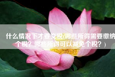 什么情况下才要交税(哪些所得需要缴纳个税？哪些所得可以减免个税？)