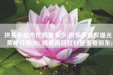 拼多多股市代码是多少(拼多多股权曝光：黄峥持股28% 腾讯高榕红杉是重要股东)