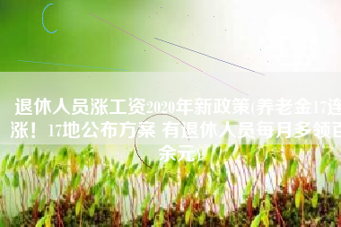 退休人员涨工资2020年新政策(养老金17连涨！17地公布方案 有退休人员每月多领百余元)