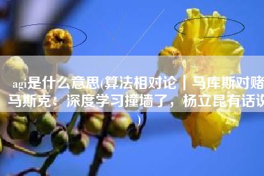 agi是什么意思(算法相对论｜马库斯对赌马斯克：深度学习撞墙了，杨立昆有话说)