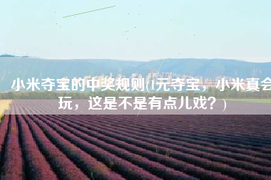 小米夺宝的中奖规则(1元夺宝，小米真会玩，这是不是有点儿戏？)