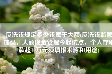 反洗钱规定多少钱属于大额(反洗钱监管加码，大额现金管理今起试点，个人存取款超10万元须填报来源和用途)