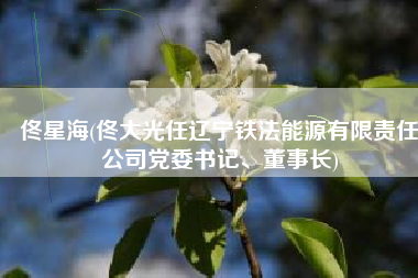 佟星海(佟大光任辽宁铁法能源有限责任公司党委书记、董事长)