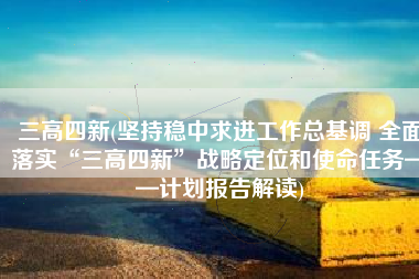 三高四新(坚持稳中求进工作总基调 全面落实“三高四新”战略定位和使命任务——计划报告解读)