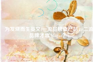 为发烧而生英文(一流品牌靠产品，二流品牌才靠 Slogan？)