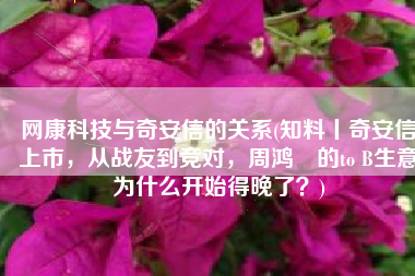 网康科技与奇安信的关系(知料丨奇安信上市，从战友到竞对，周鸿祎的to B生意为什么开始得晚了？)