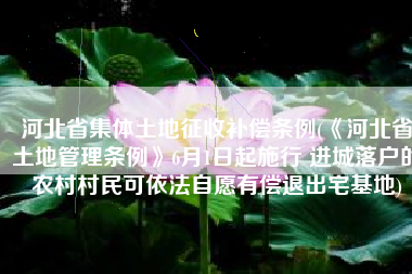 河北省集体土地征收补偿条例(《河北省土地管理条例》6月1日起施行 进城落户的农村村民可依法自愿有偿退出宅基地)