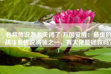 名将传说怎么关闭了(万国觉醒：最废的战斗系传说将领之一，有大佬能拯救吗？)