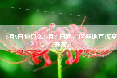 5月9日休息么(5月31日起，这些地方恢复开放)