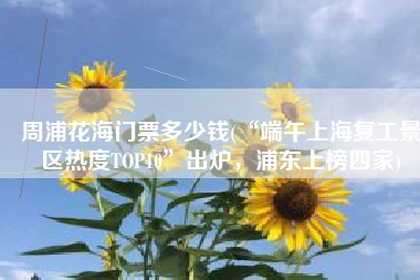 周浦花海门票多少钱(“端午上海复工景区热度TOP10”出炉，浦东上榜四家)