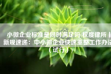 小微企业标准是同时满足吗(权度律所丨新规速递：中小微企业快速重整工作办法（试行）)