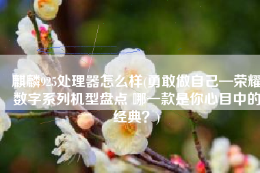 麒麟925处理器怎么样(勇敢做自己—荣耀数字系列机型盘点 哪一款是你心目中的经典？)