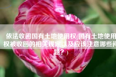 依法收回国有土地使用权(国有土地使用权被收回的相关规定以及应该注意哪些问题？)