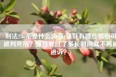刑法236条是什么内容(强奸有哪些情形可被判死刑？强奸罪过了多长时间就不再被追诉？)