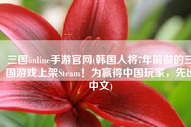 三国online手游官网(韩国人将7年前做的三国游戏上架Steam！为赢得中国玩家，先出中文)