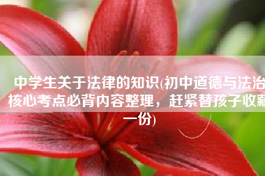 中学生关于法律的知识(初中道德与法治核心考点必背内容整理，赶紧替孩子收藏一份)