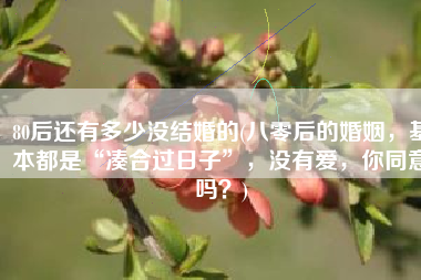 80后还有多少没结婚的(八零后的婚姻，基本都是“凑合过日子”，没有爱，你同意吗？)