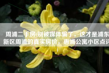 周浦二手房(别被媒体骗了，这才是浦东新区周浦的真实房价，惠浦公寓小区点评)