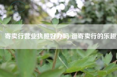 寄卖行营业执照好办吗(逛寄卖行的乐趣)