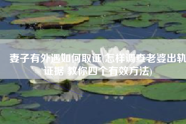 妻子有外遇如何取证(怎样调查老婆出轨证据 教你四个有效方法)