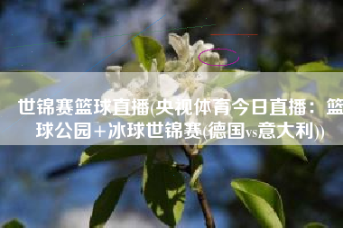 世锦赛篮球直播(央视体育今日直播：篮球公园+冰球世锦赛(德国vs意大利))