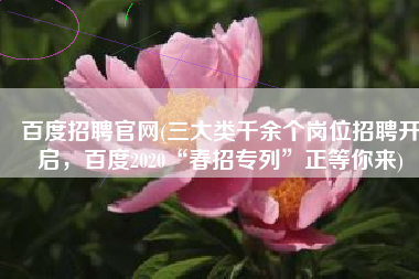 百度招聘官网(三大类千余个岗位招聘开启，百度2020“春招专列”正等你来)