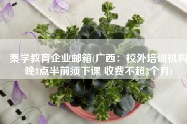 秦学教育企业邮箱(广西：校外培训机构晚8点半前须下课 收费不超3个月)
