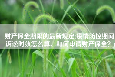 财产保全期限的最新规定(疫情防控期间，诉讼时效怎么算、如何申请财产保全？)