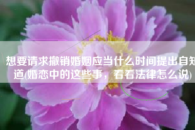 想要请求撤销婚姻应当什么时间提出自知道(婚恋中的这些事，看看法律怎么说)