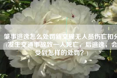 肇事逃逸怎么处罚新交规无人员伤亡扣分(发生交通事故致一人死亡，后逃逸，会受到怎样的处罚？)