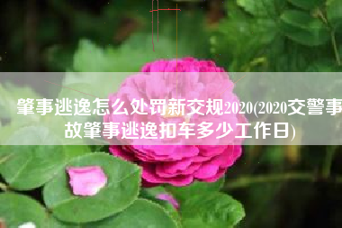 肇事逃逸怎么处罚新交规2020(2020交警事故肇事逃逸扣车多少工作日)